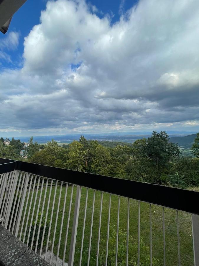 Le Panorama Studio Prive Avec Vue Magnifique Turckheim Trois Epis Eksteriør billede